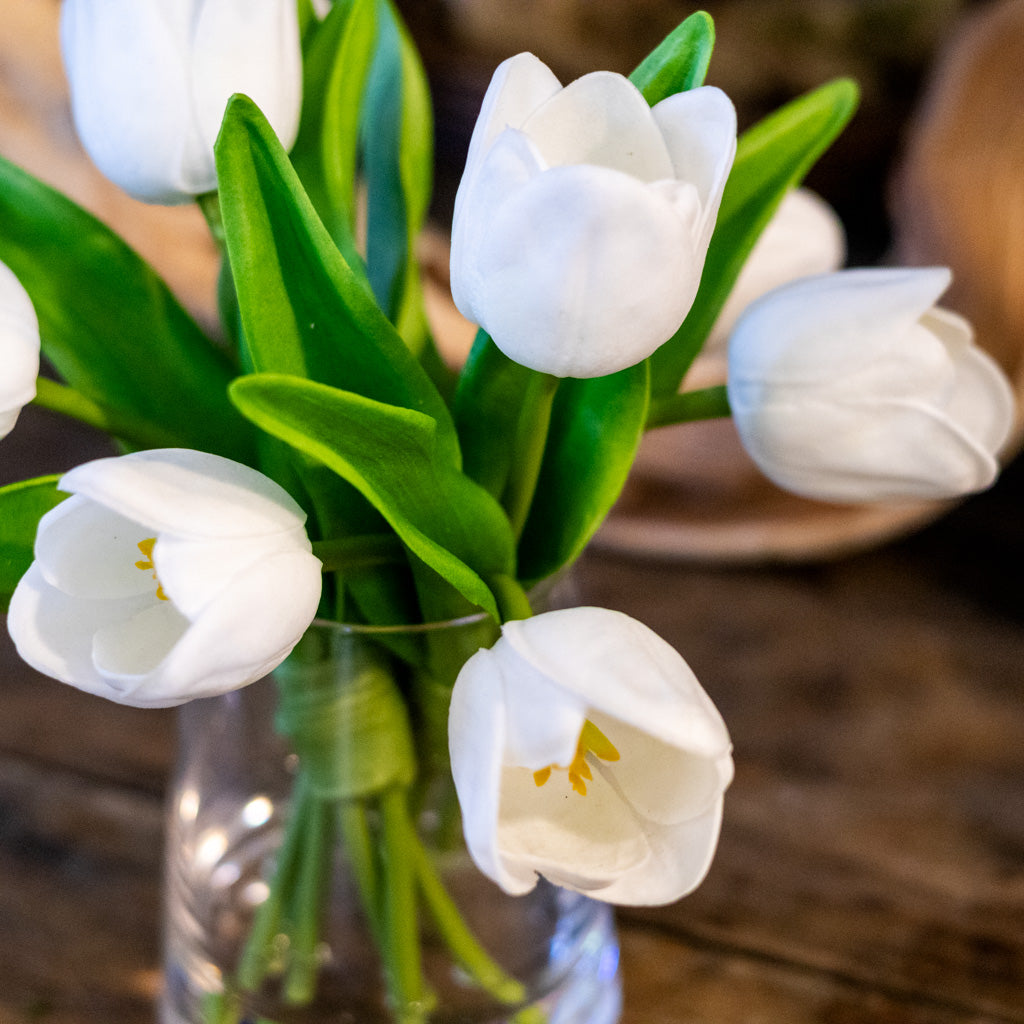 White Spring Tulips Illusion Vase