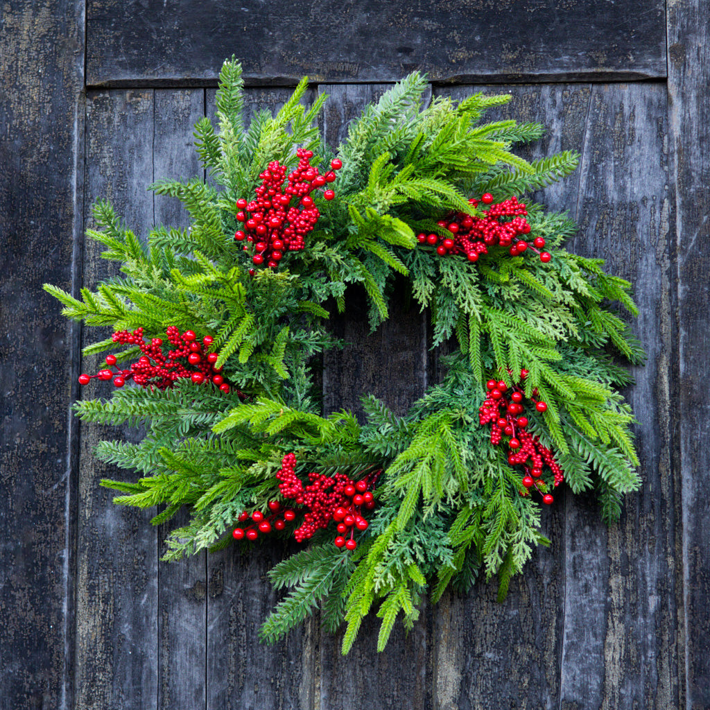 24" D Bramble Red Berry and Evergreen Wreath