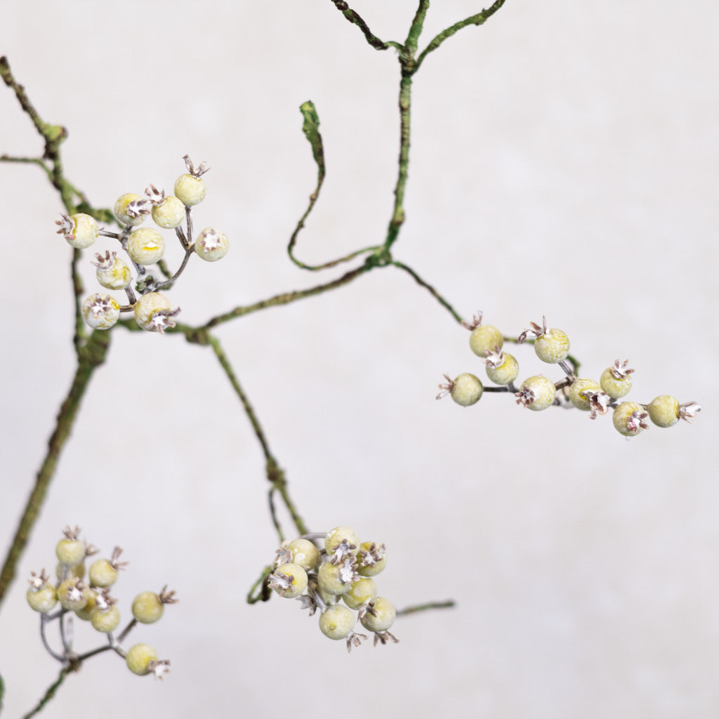Weathered Grape Vine Berry Spray Stem Green