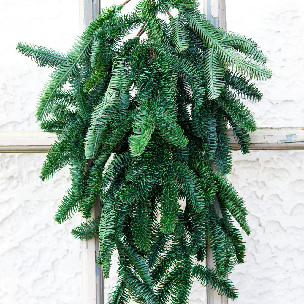 30" Noble Fir Teardrop