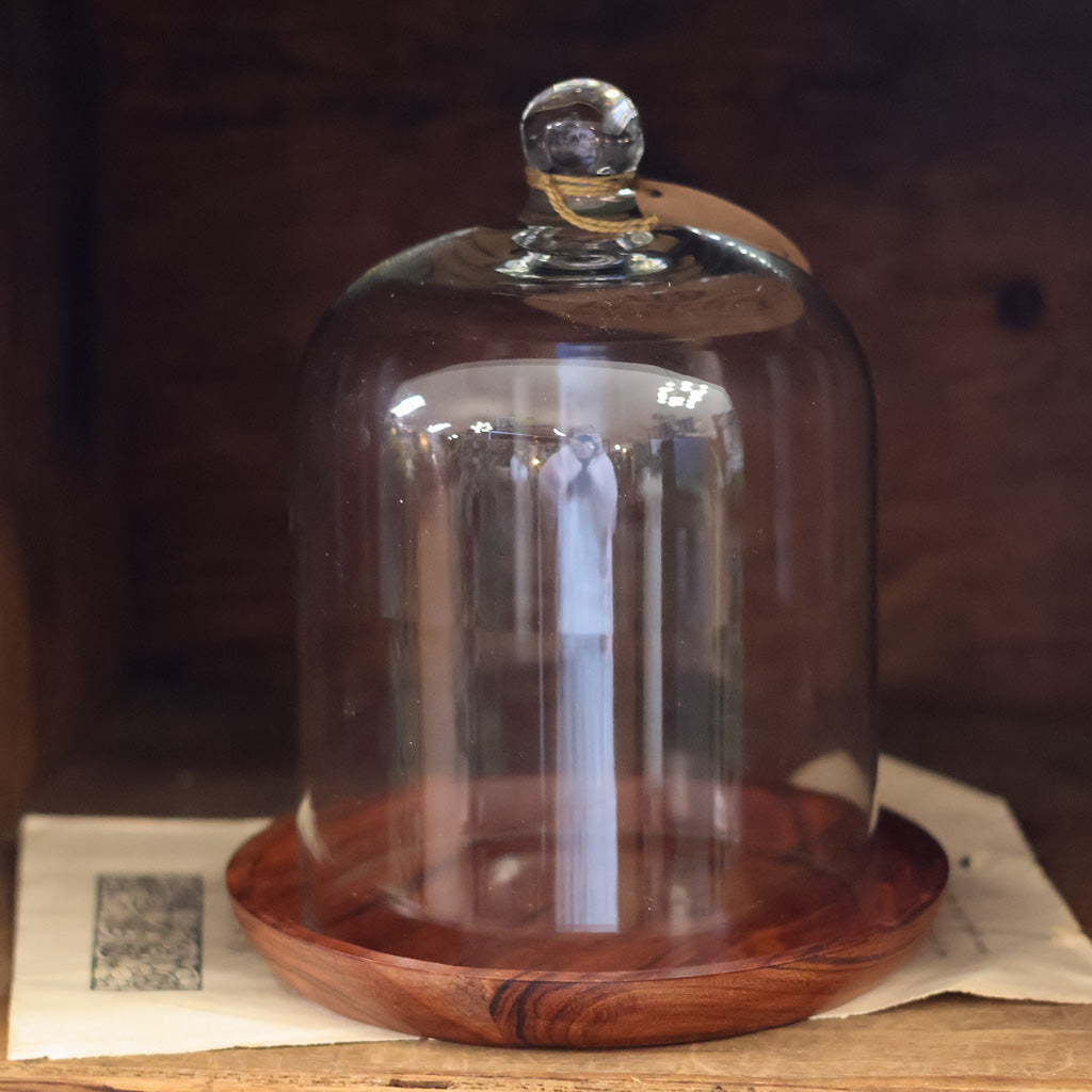 Set of Glass Cloche and Wooden Plate