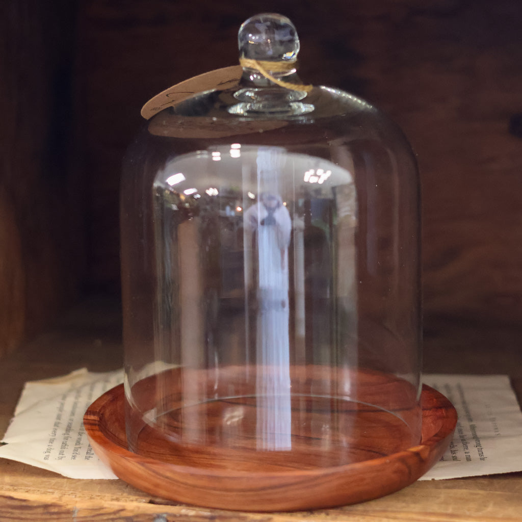 Set of Glass Cloche and Wooden Plate