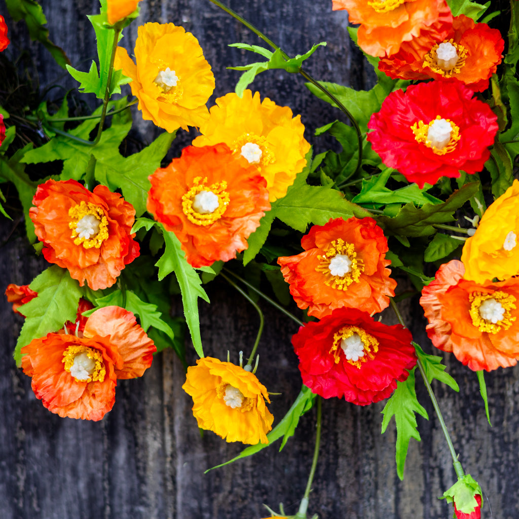 Poppy Wreath