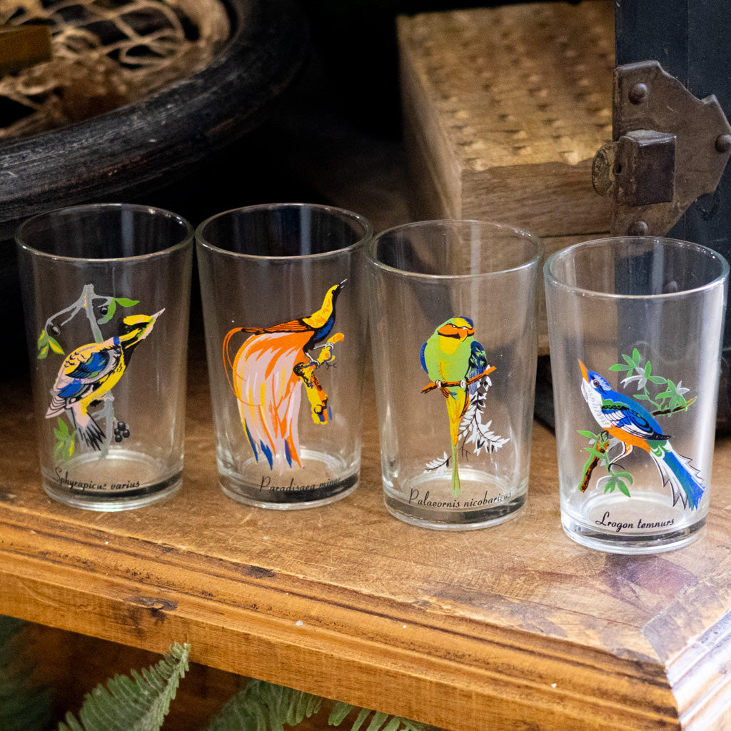 Vintage KIG Malaysia Exotic Bird Glasses Set of Four