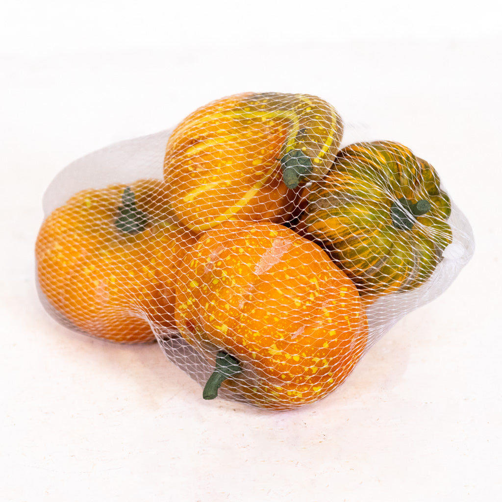Farmstand Pumpkin & Gourd Bag of Five