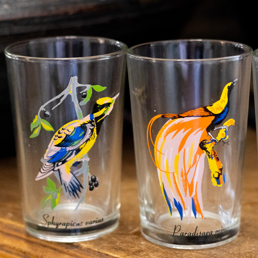 Vintage KIG Malaysia Exotic Bird Glasses Set of Four