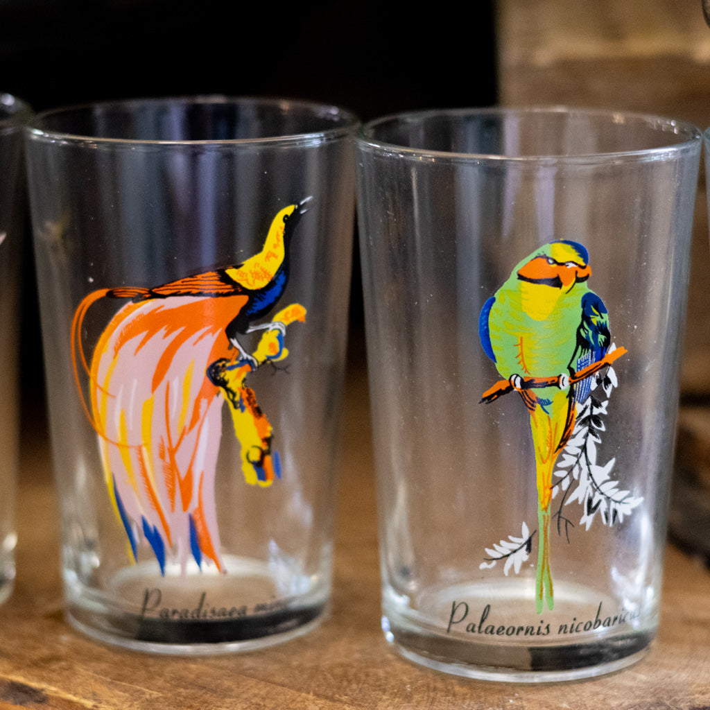 Vintage KIG Malaysia Exotic Bird Glasses Set of Four