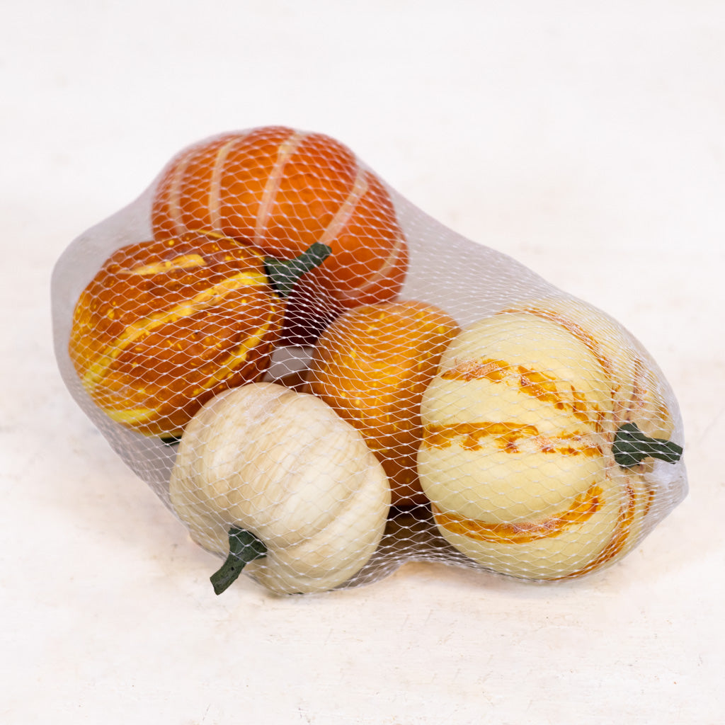 Large Farmstand Pumpkin & Gourd Bag of Five