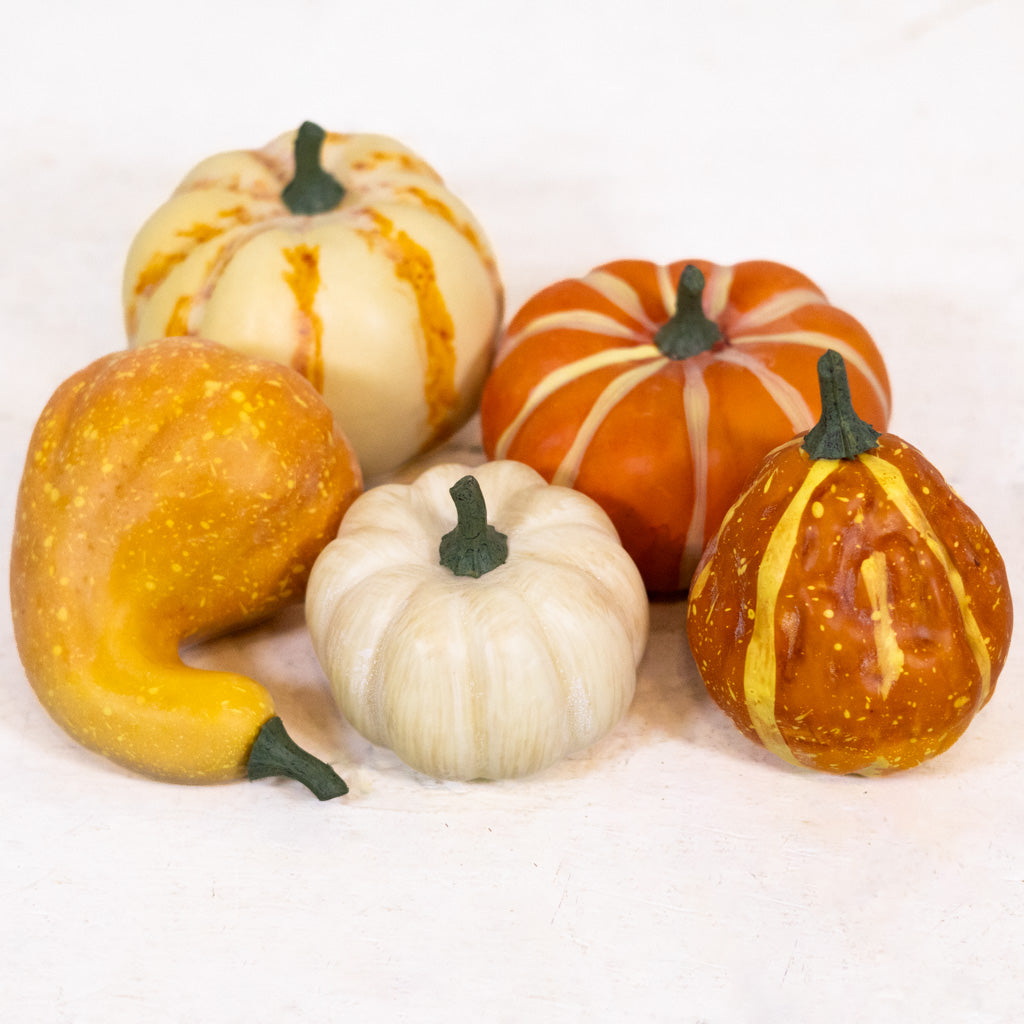 Large Farmstand Pumpkin & Gourd Bag of Five