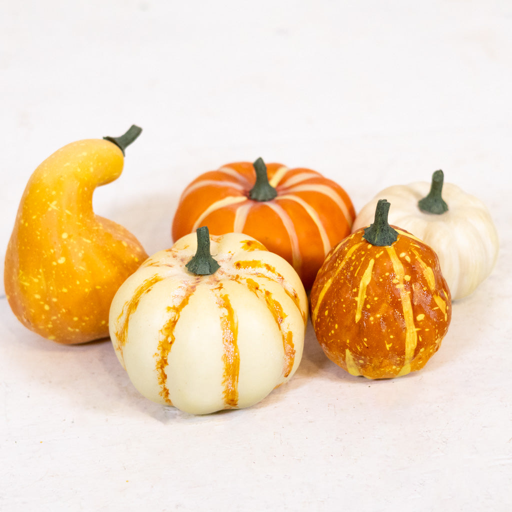Large Farmstand Pumpkin & Gourd Bag of Five