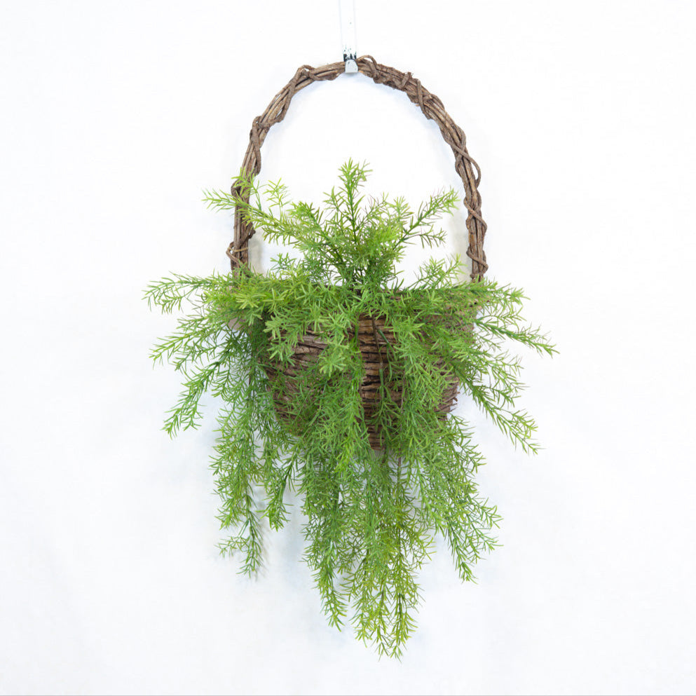 Hanging Springeri