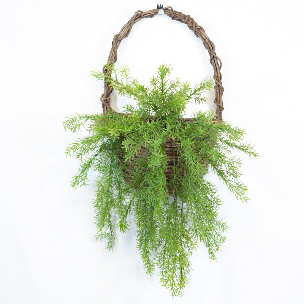 Hanging Springeri