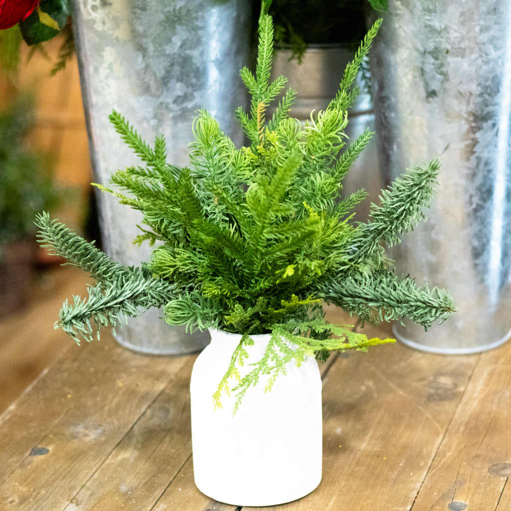 Mixed Pine in White Wood Vase