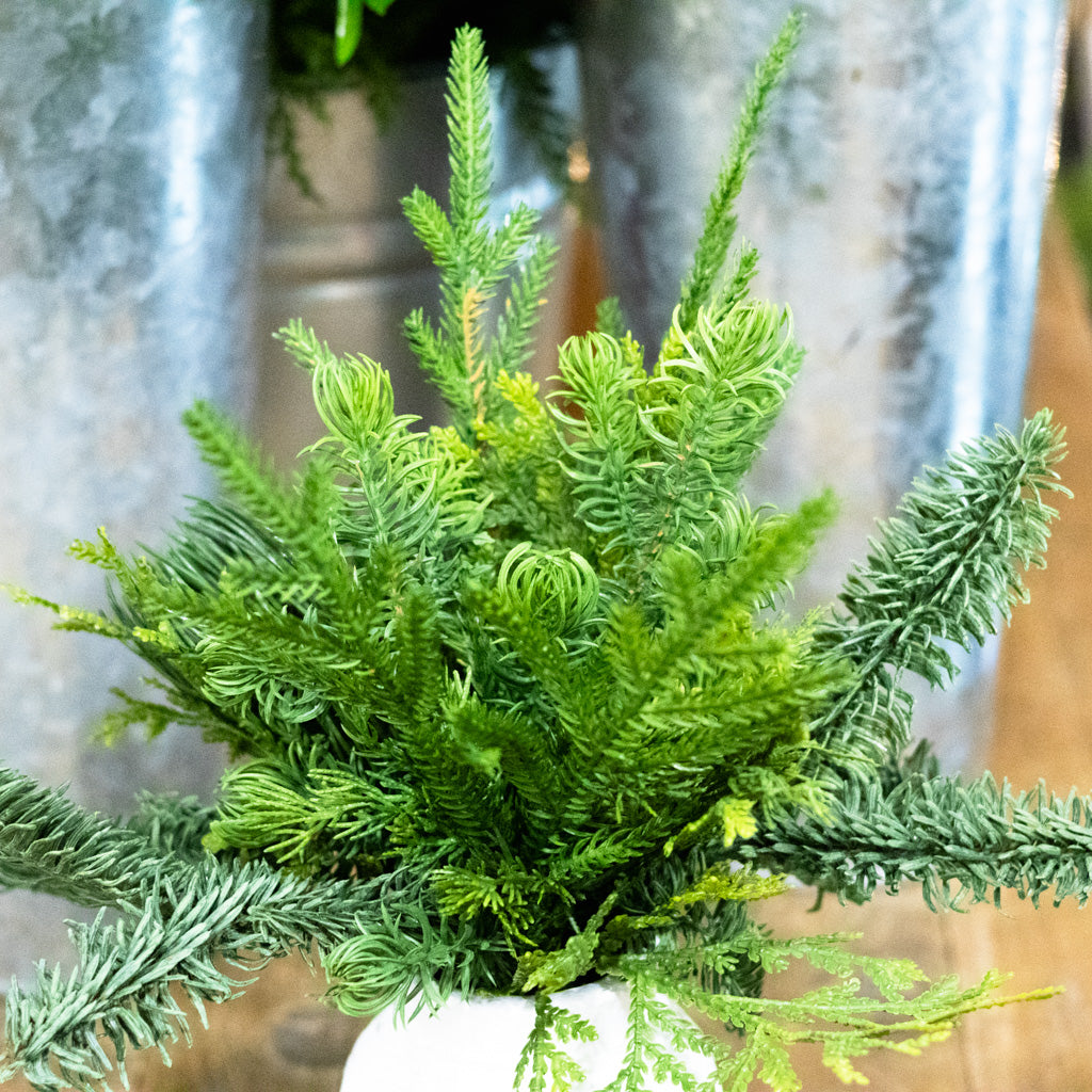 Mixed Pine in White Wood Vase