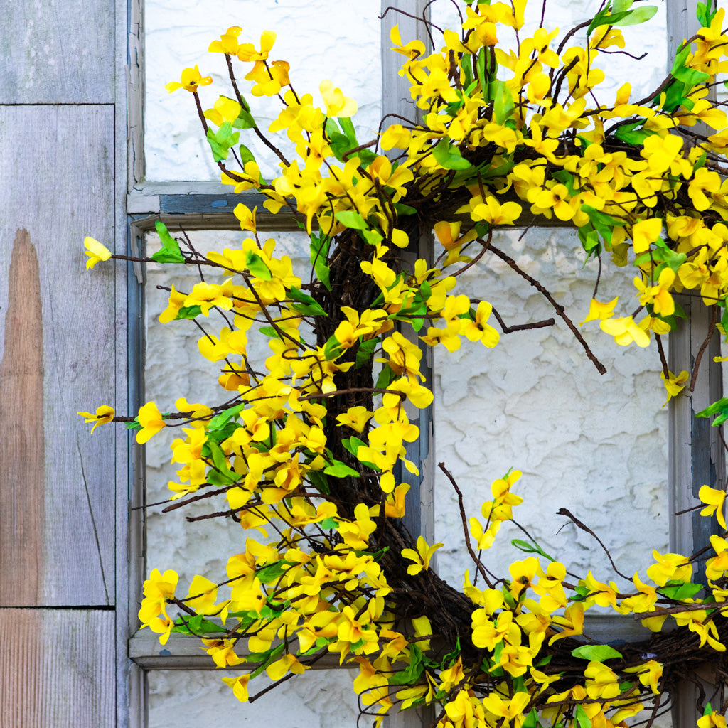 Yellow Forsythia Wreath