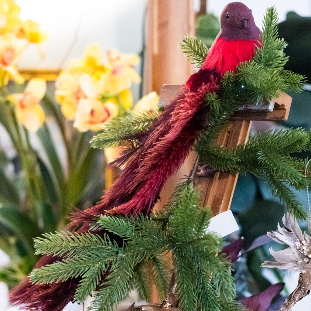 Bird with Red Ostrich Tail and Clip