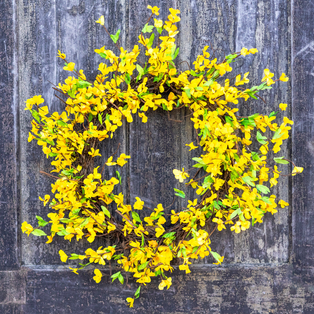 Yellow Forsythia Wreath