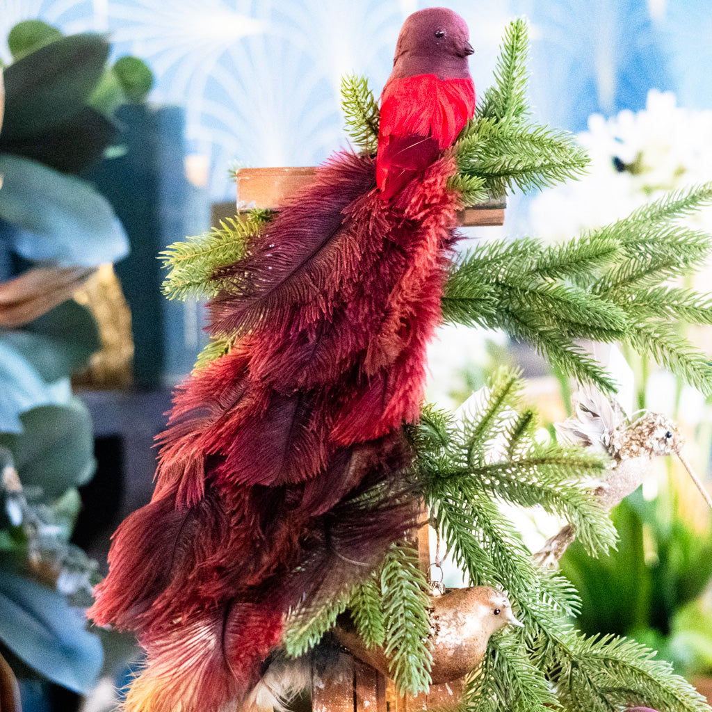 Bird with Red Ostrich Tail and Clip