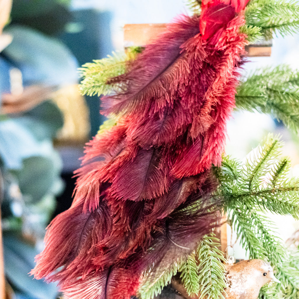 Bird with Red Ostrich Tail and Clip