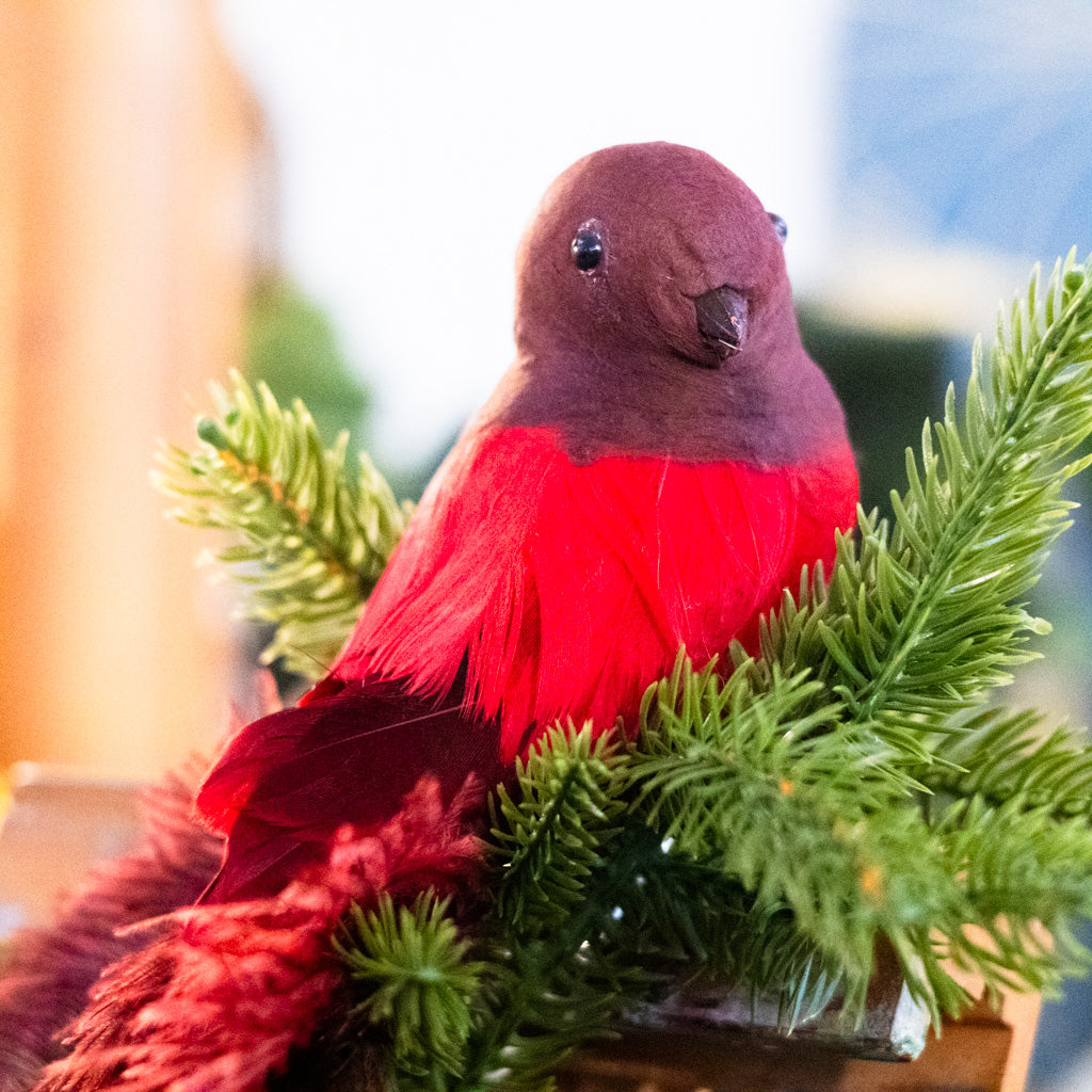 Bird with Red Ostrich Tail and Clip