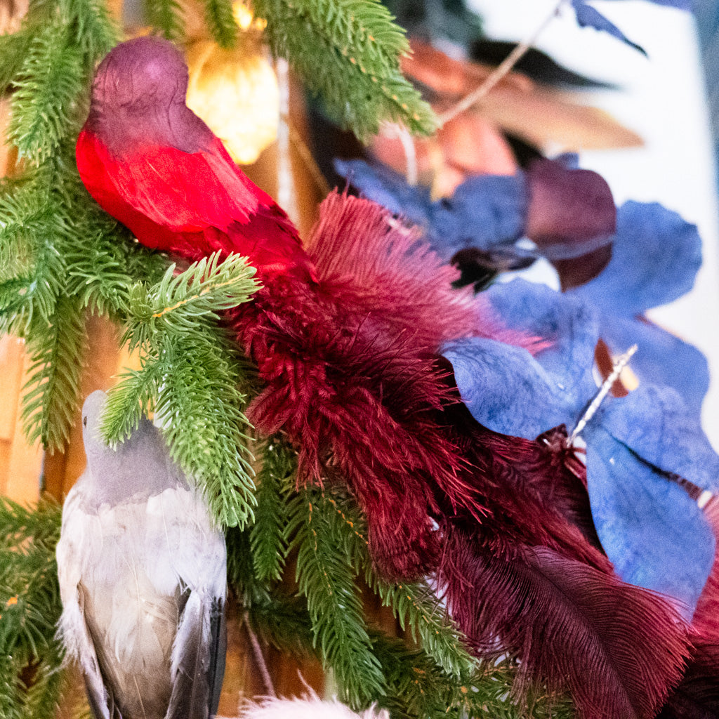 Bird with Red Ostrich Tail and Clip