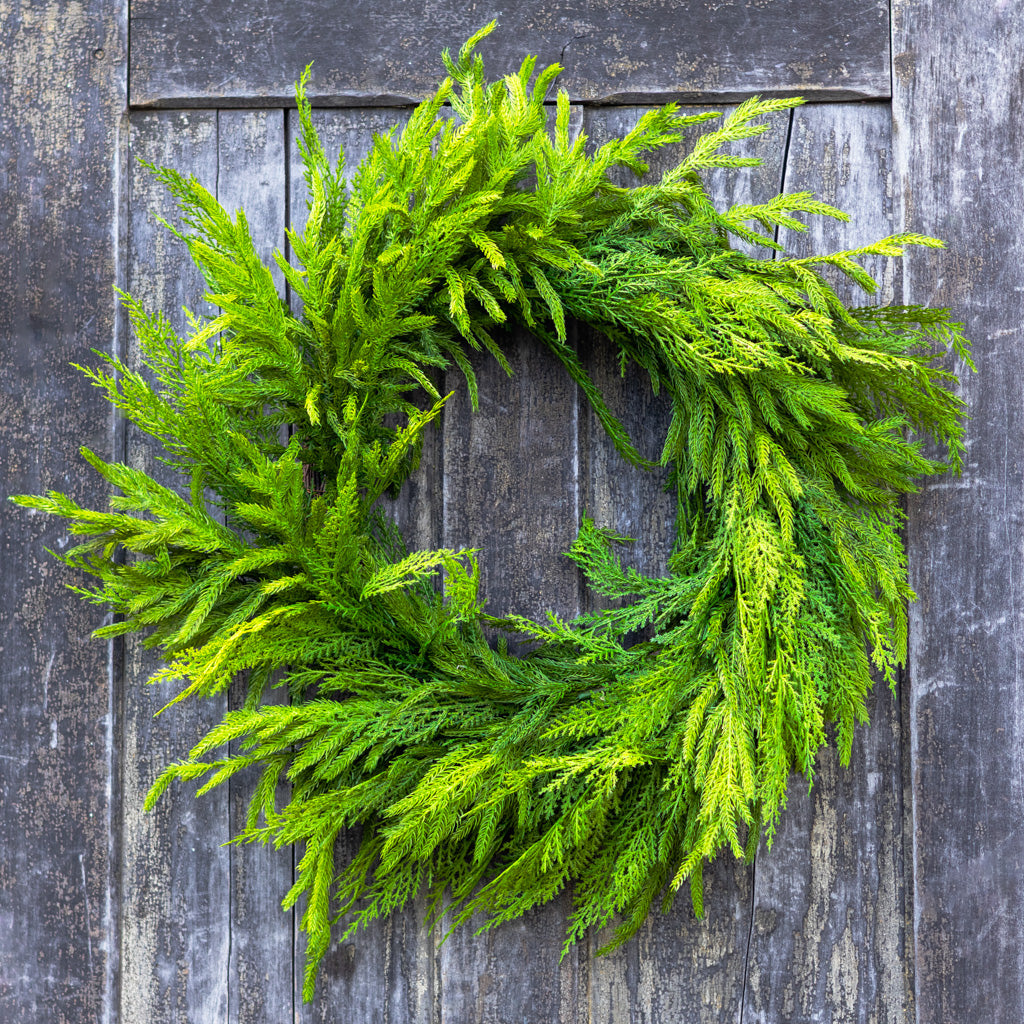 24"D Woodland Evergreen Wreath Real Touch