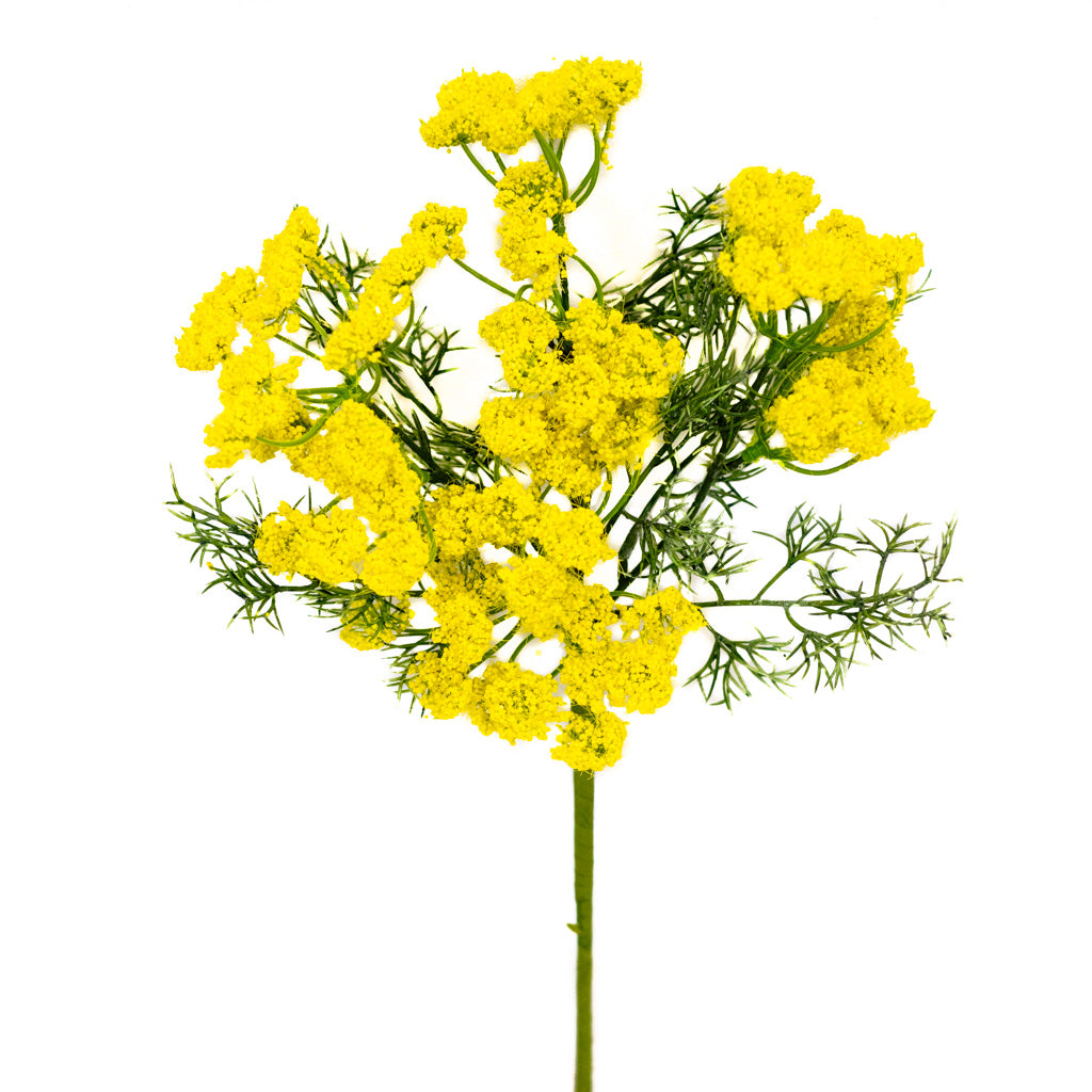 Yellow Queen Anne's Lace Spray