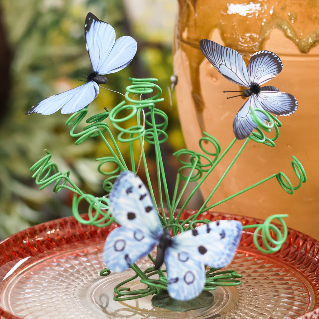 Blue Fabric Butterfly Box of Six