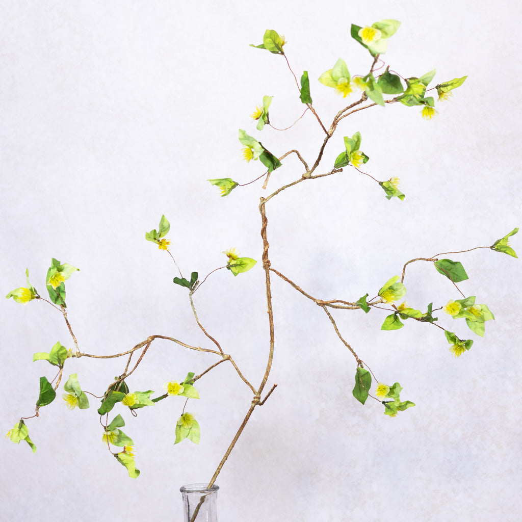 Wild Lime Green Flower Spray