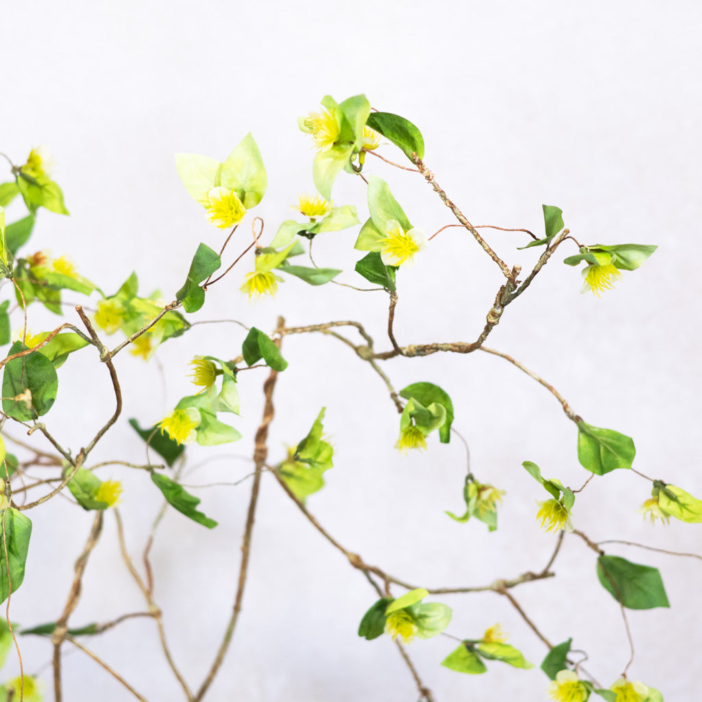 Wild Lime Green Flower Spray