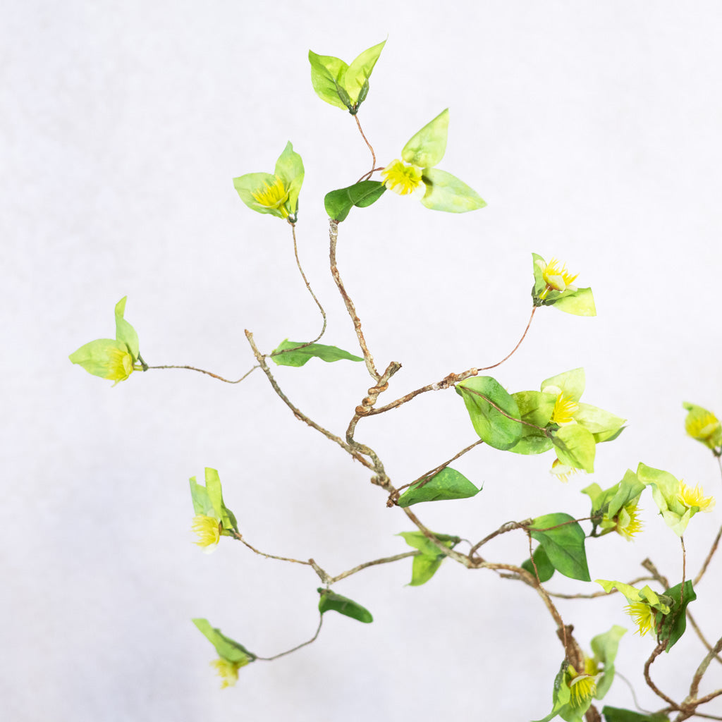 Wild Lime Green Flower Spray