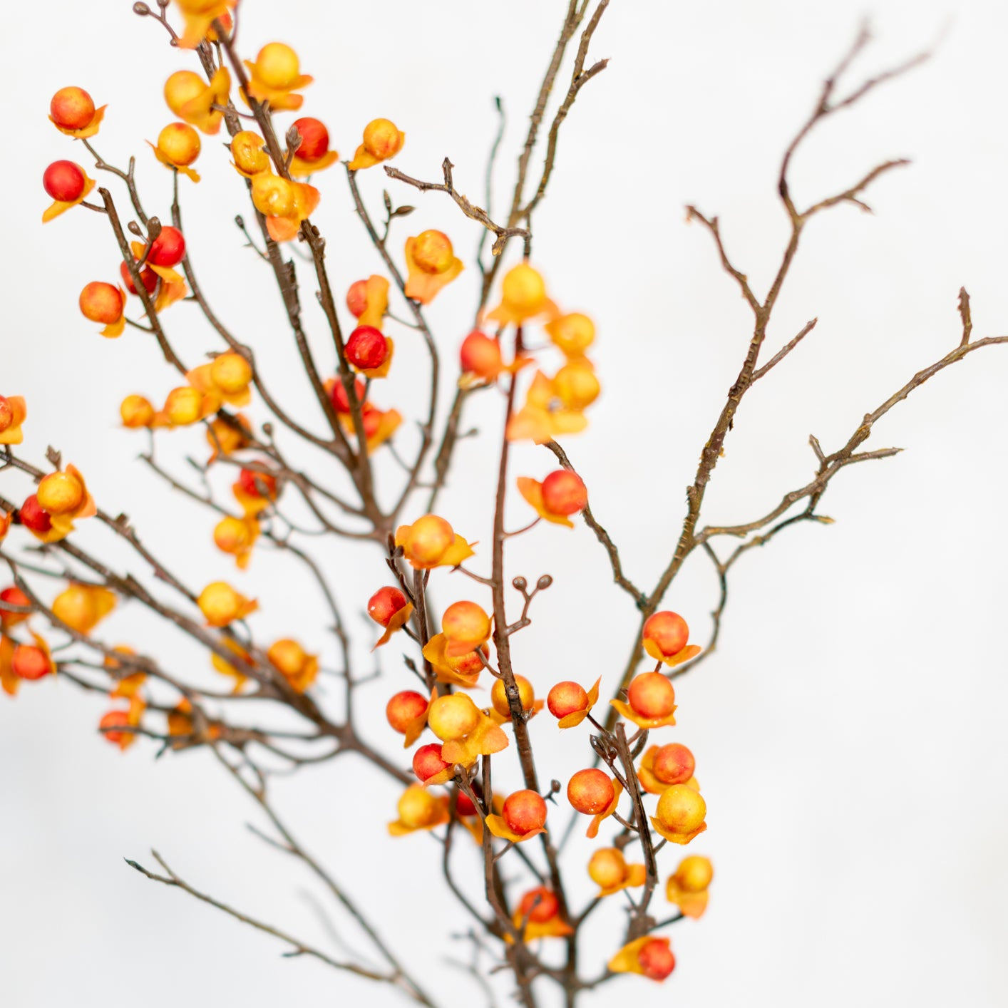 Bittersweet and Twig Spray