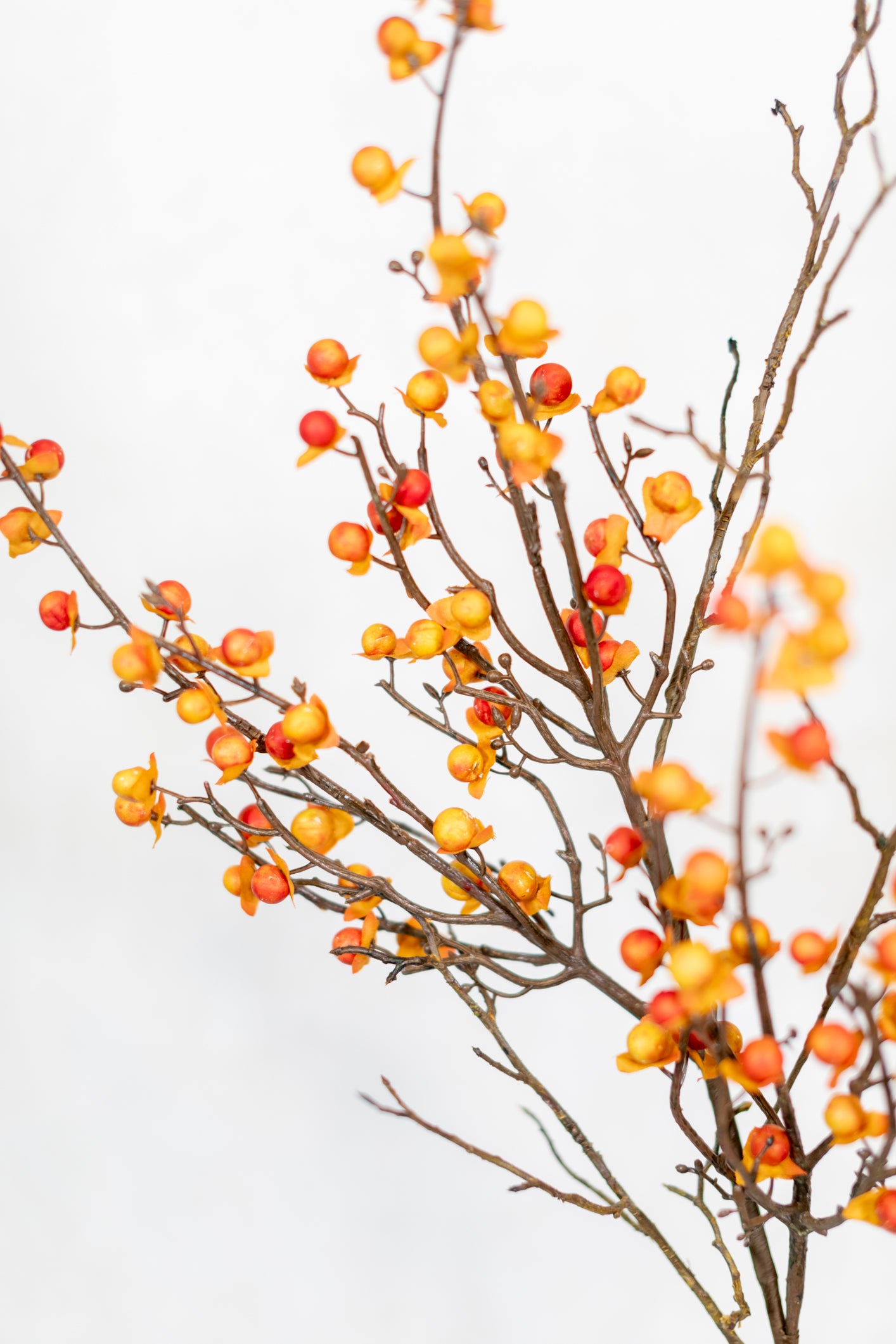 Bittersweet and Twig Spray