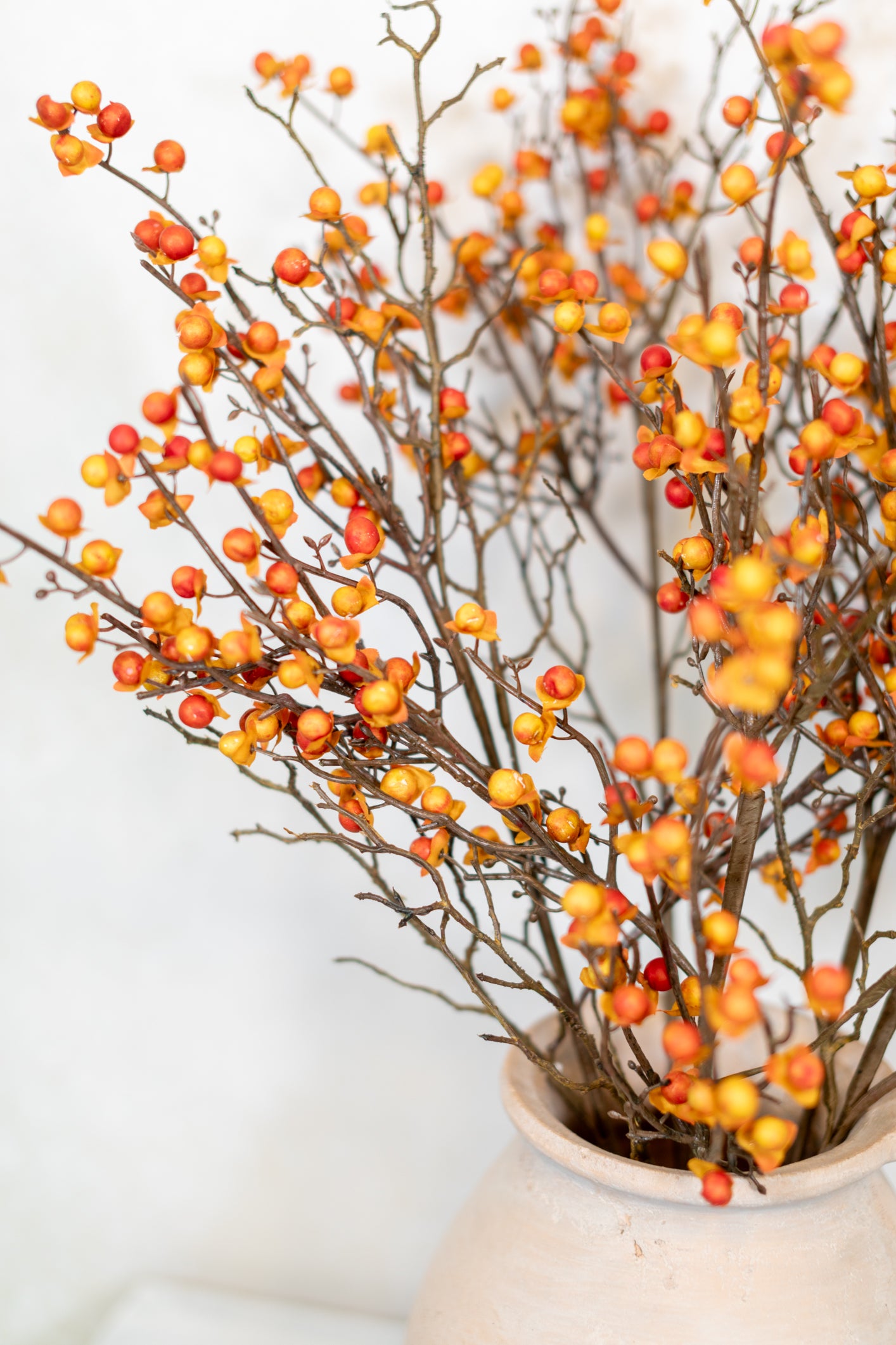 Bittersweet and Twig Spray