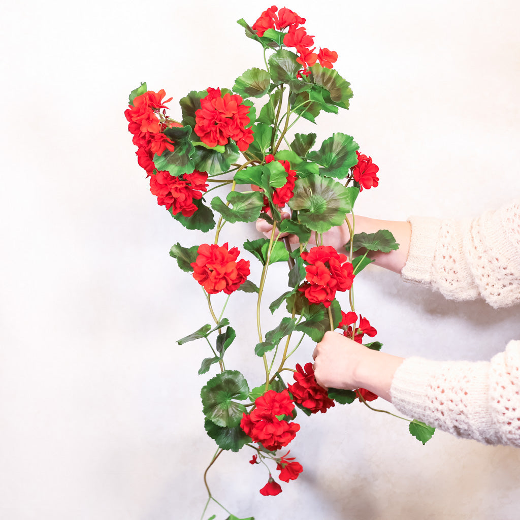 UV Red Summer Hanging Geranium Plant Natural Touch