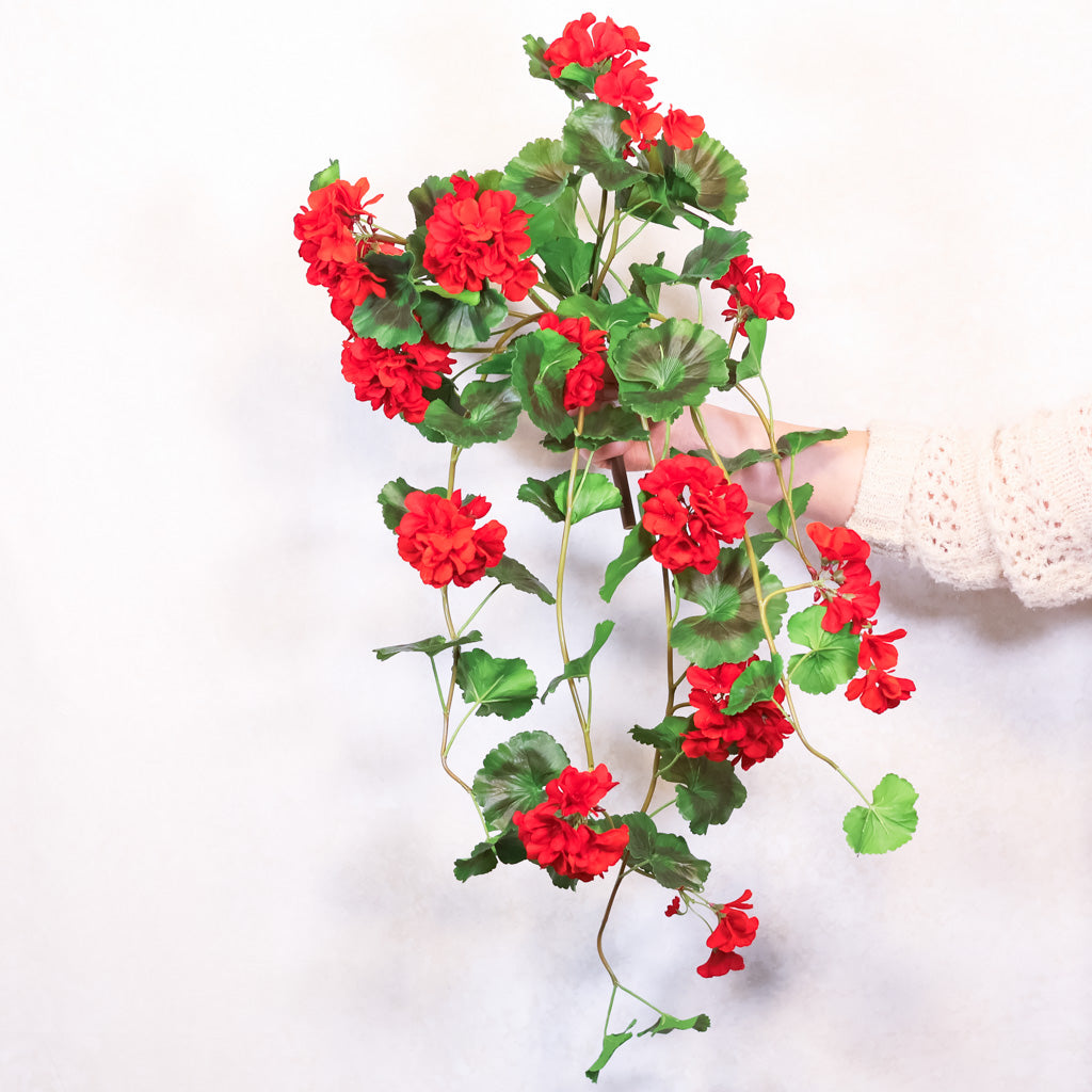 UV Red Summer Hanging Geranium Plant Natural Touch