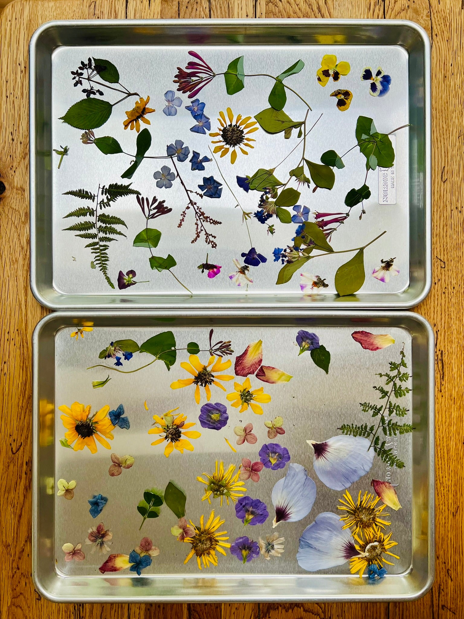 01.07.2026 @ 11AM | Craft Your Calm: Your Spa in a Floral Jar - Workshop with Guest Artist Ann De Corte