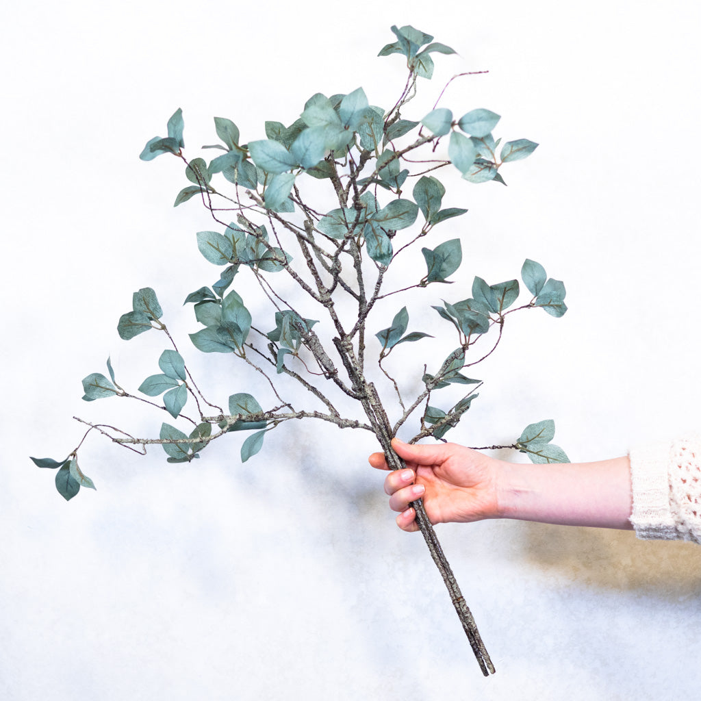 Twig Leaf Bush