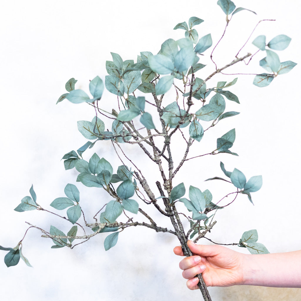 Twig Leaf Bush