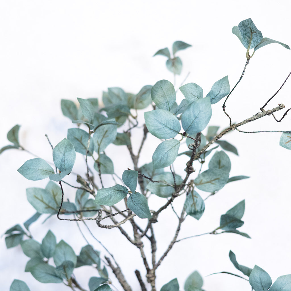 Twig Leaf Bush