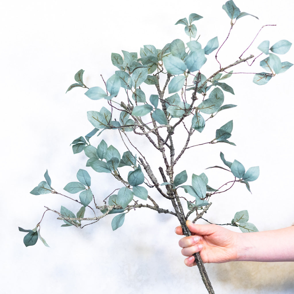 Twig Leaf Bush