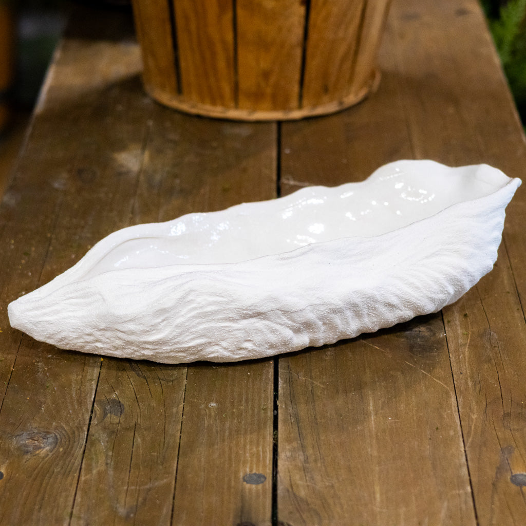 Stoneware White Shell Shaped Dish
