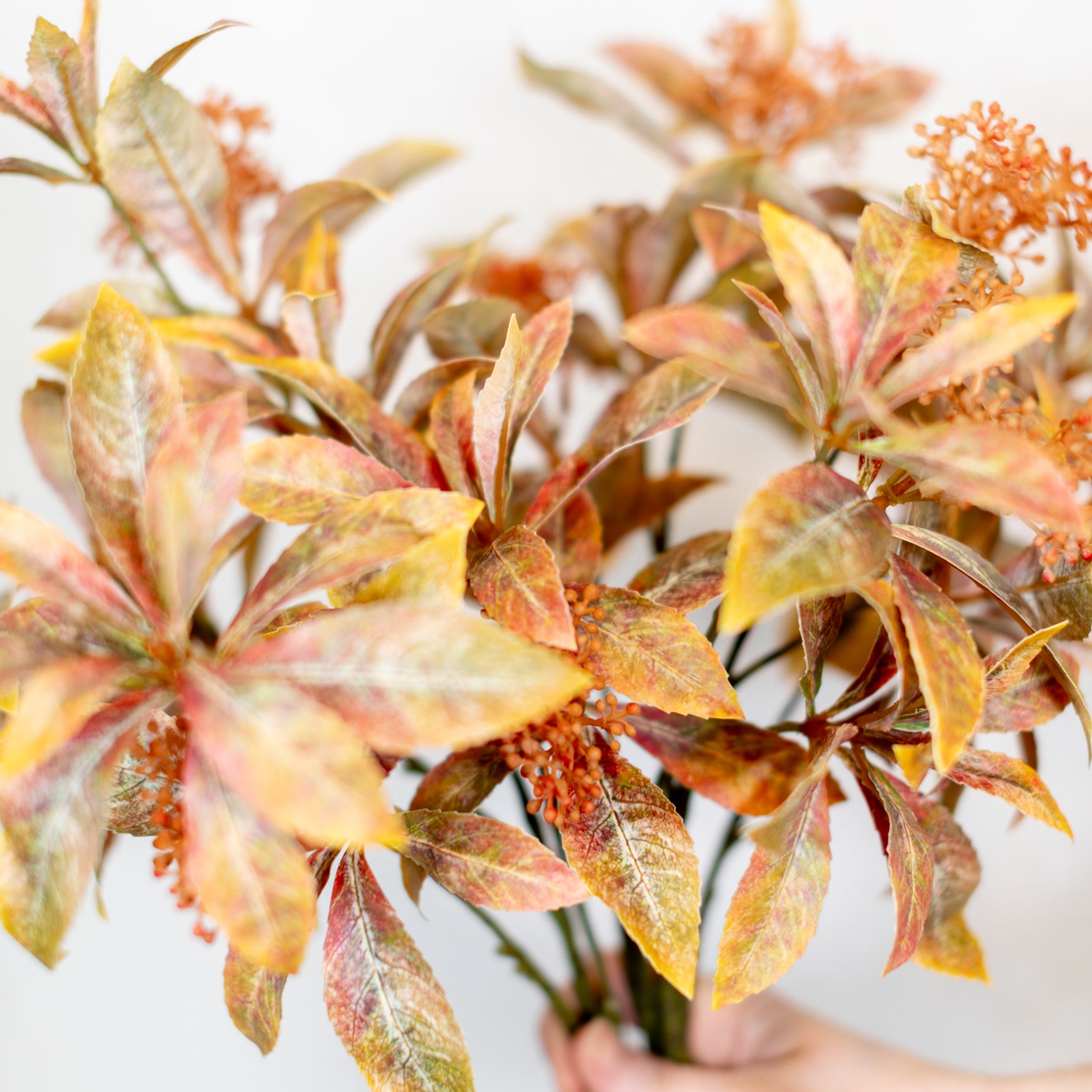 Seeding Cluster Green Burgundy Foliage Spray