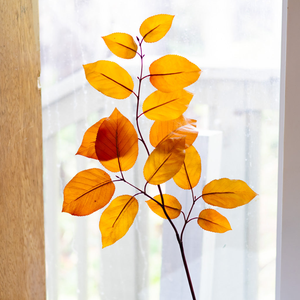 Caramel Autumn Salal Leaf Spray