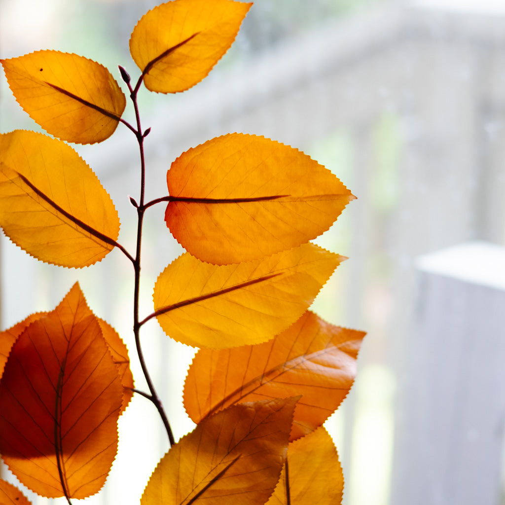 Caramel Autumn Salal Leaf Spray