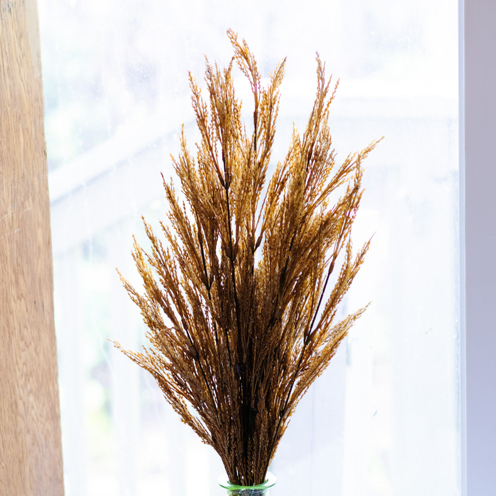 Dark Gold Wheat Bush