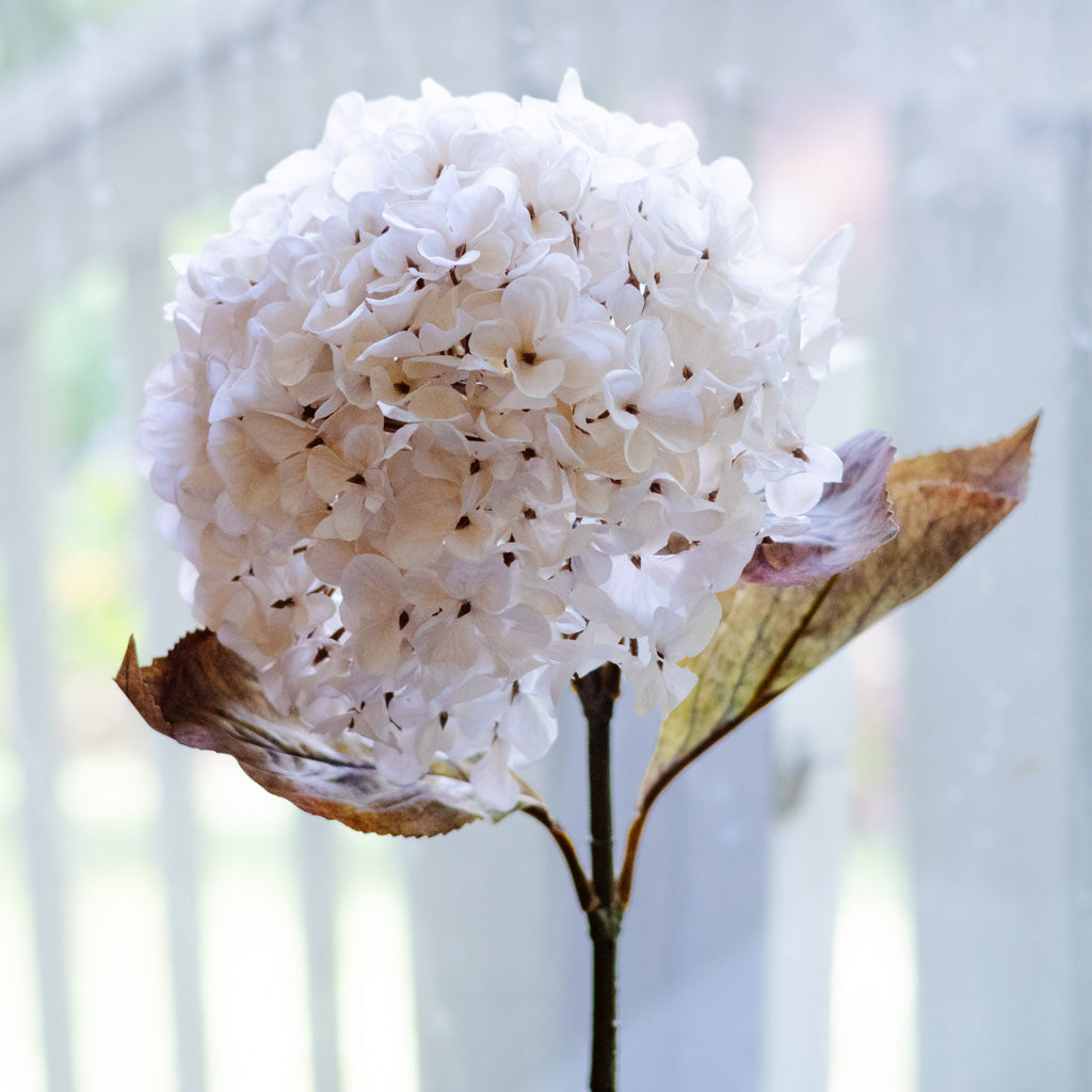 Cream Hydrangea Spray