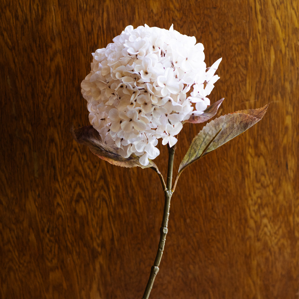Cream Hydrangea Spray