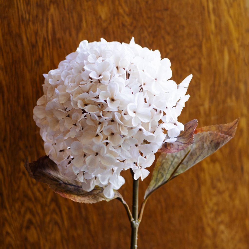 Cream Hydrangea Spray