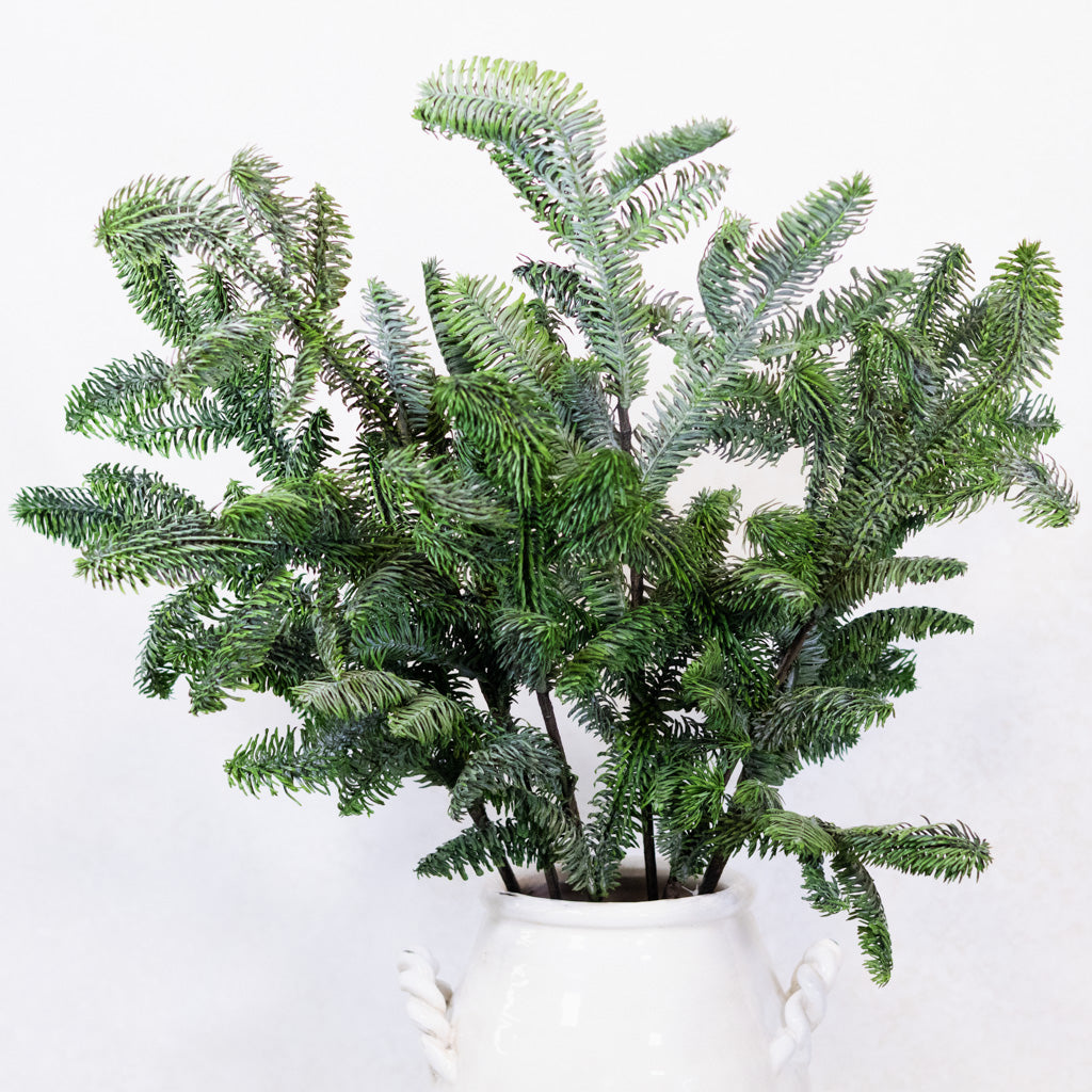 Noble Fir Spray